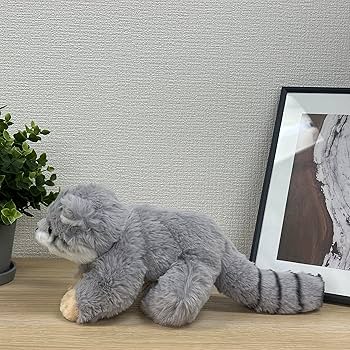Amazon.co.jp: キュート販売 ぬいぐるみ くたくたマヌルネコS